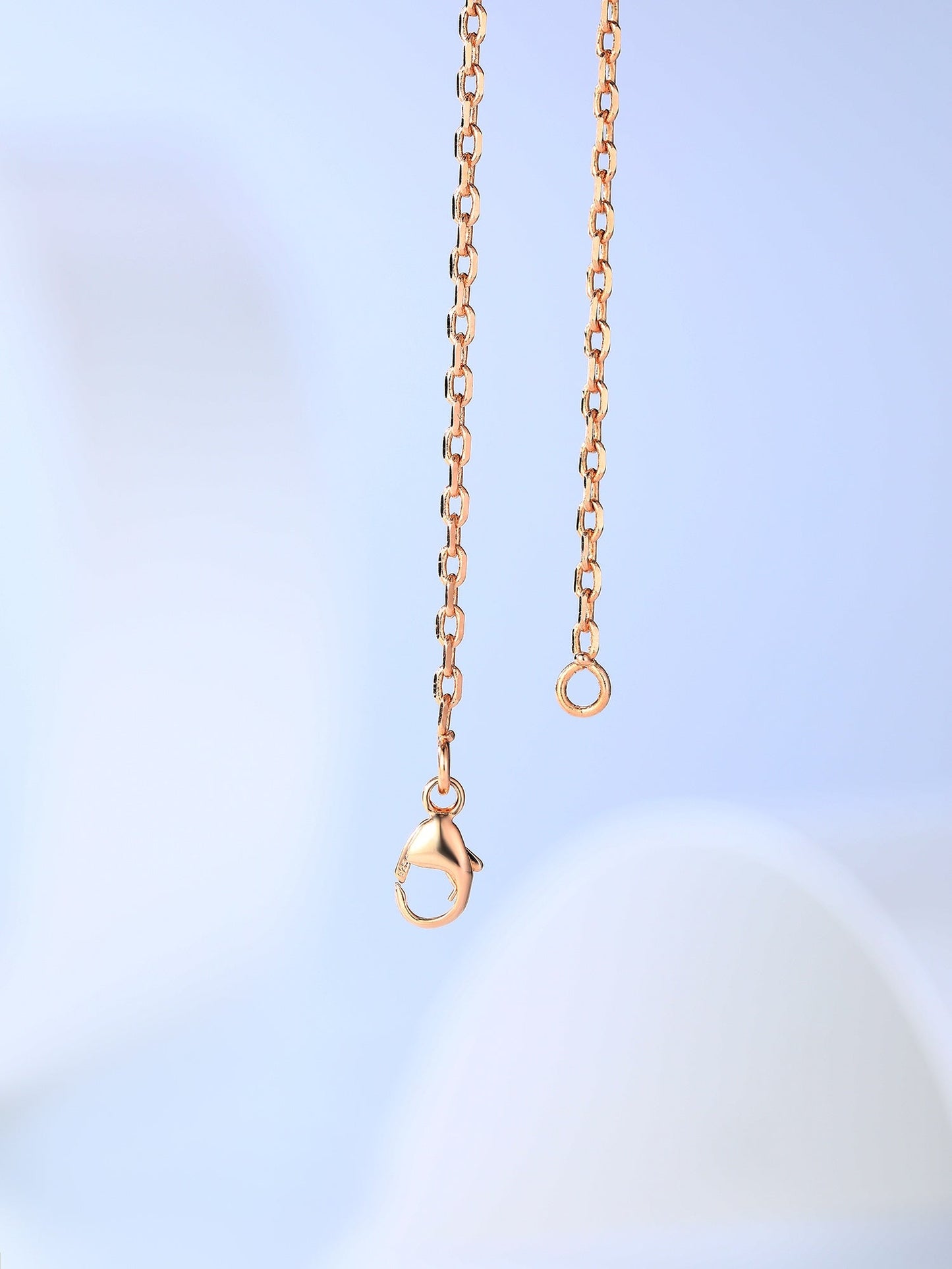 [Leaves]H CAGE ROSE GOLD NECKLACE