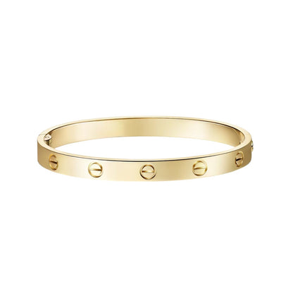 [Leaves]CLASSIC 6.1MM LOVE SINGLE-SCREW CLOSURE BANGLE