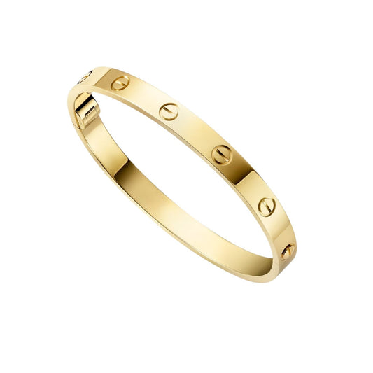 [Leaves]CLASSIC 6.1MM LOVE SINGLE-SCREW CLOSURE BANGLE